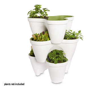 Ivy Planter