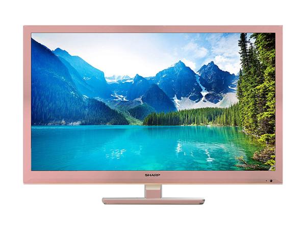 24 LCD TV with built in DVD-Player