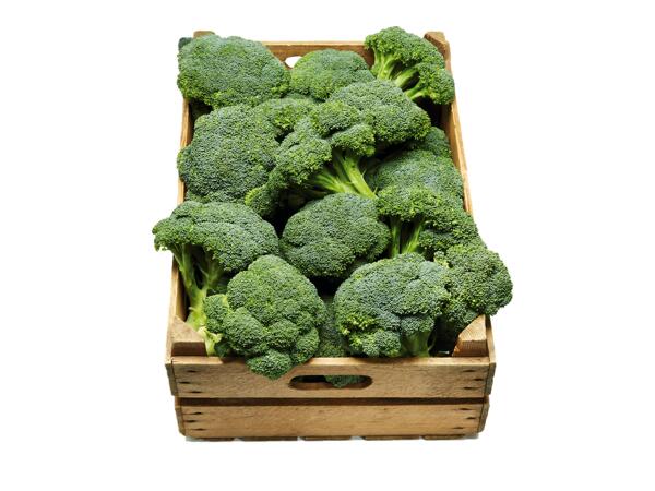 Broccoli