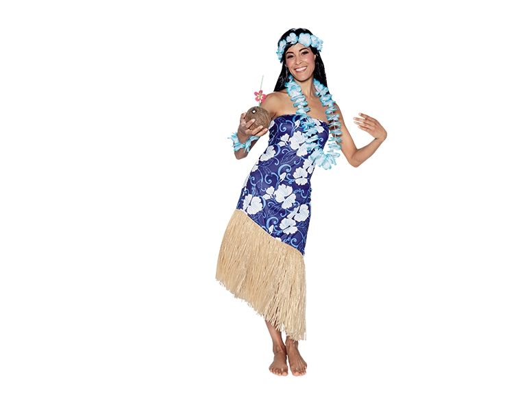 Carnavalskostuum voor dames