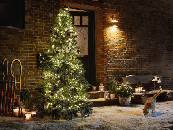 LED Fairy Lights