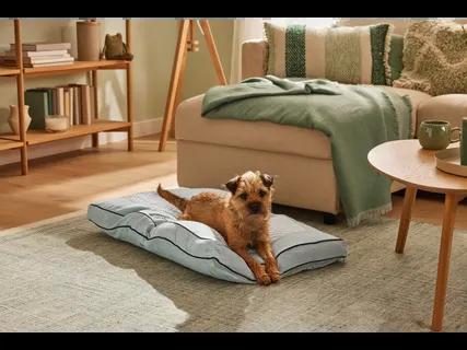 Zoofari Premium Self Cooling And Warming Dog Bed