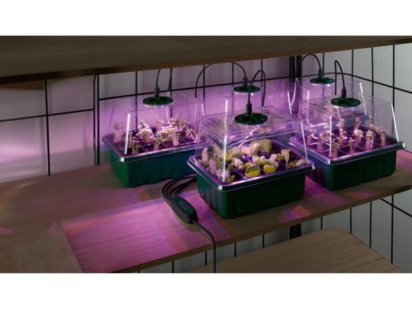 Propagator set