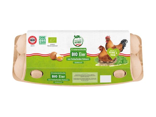 Bio Eier