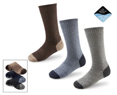 Men's Midweight Cotton Rich Socks
