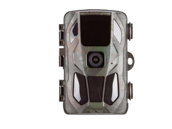 Wildlife Surveillance Camera
