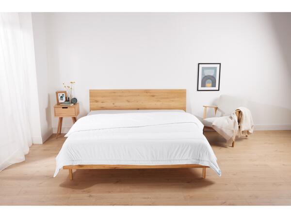 Dust Mite Duvet