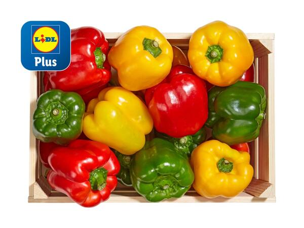 Poivrons tricolores