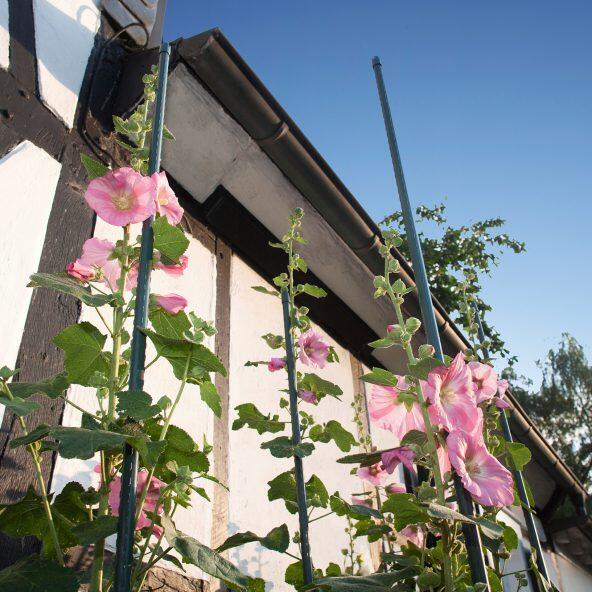GARDENLINE(R) 				Tuteurs pour plantes