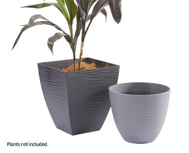 Small Round Decorative Garden Pot