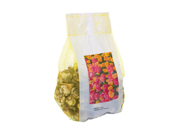 Blomsterløg i net