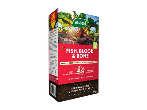 1.5kg Fish, Blood & Bone