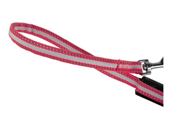 Zoofari LED Light-Up Retractable Lead - Red