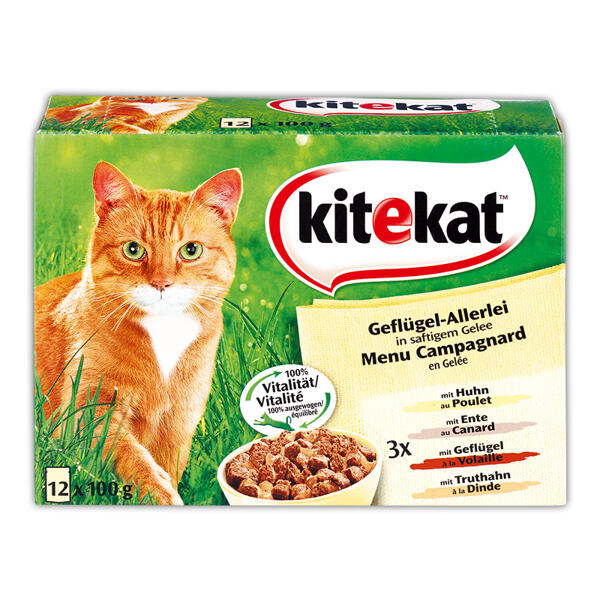 Katzennassnahrung