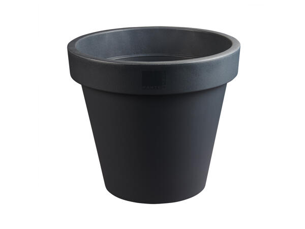 Plant Pot