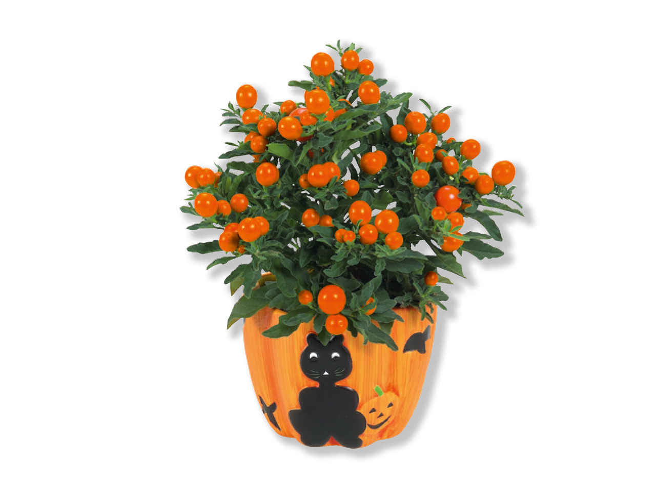 Halloween planter