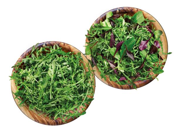 Mix-Salat oder Rucola