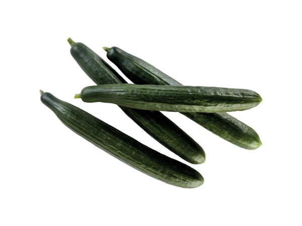 Dutch Cucumbers