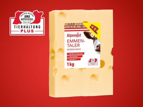 Emmentaler im Stück
