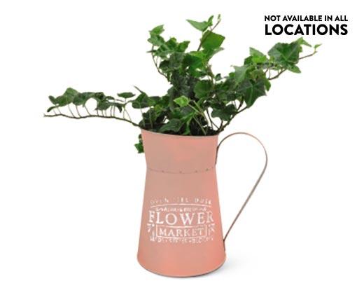 Assorted Foliage in Watering Can