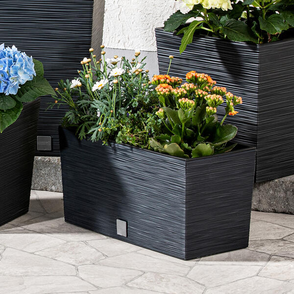 Blumenkasten "Florenz" eckig