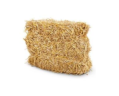 Huntington Home Straw Bale