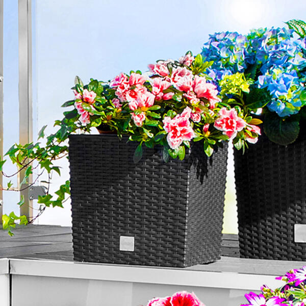 Blumentopf