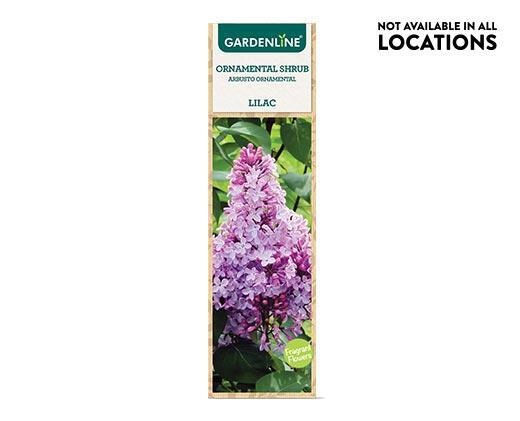 Gardenline Ornamental Shrub Assorted Varieties