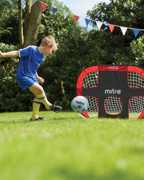 2-in-1 Pop-Up Target Goal