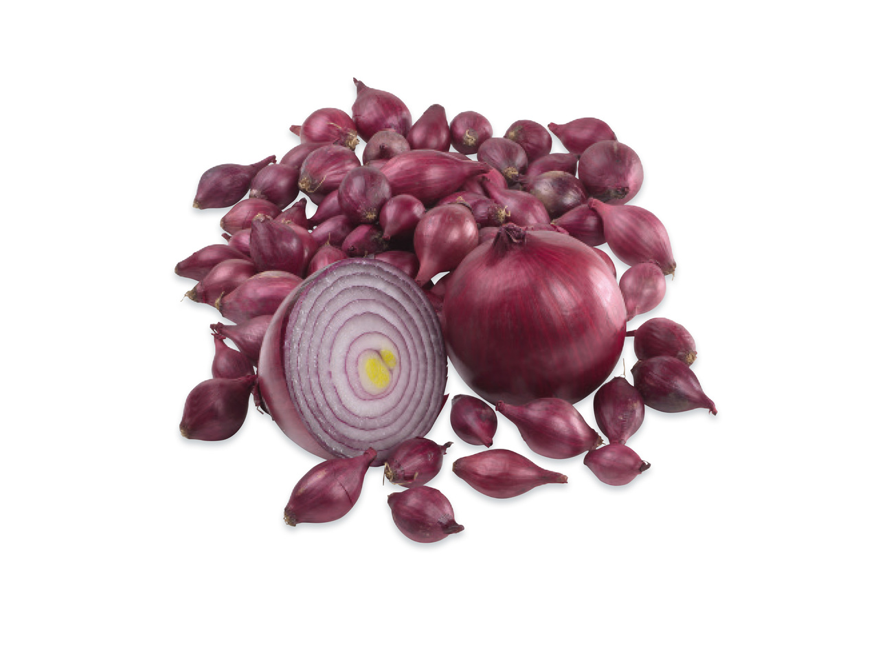 Sättlök