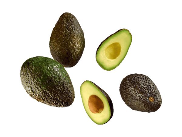 Avocat