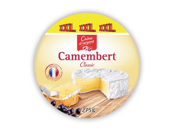 Camembert XXL