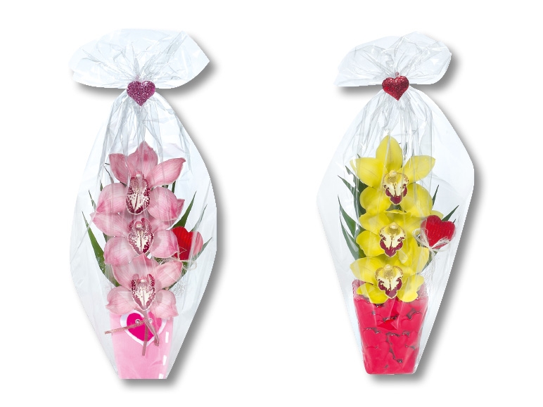 Orchidées, 3 fleurs (dès 4.5.)