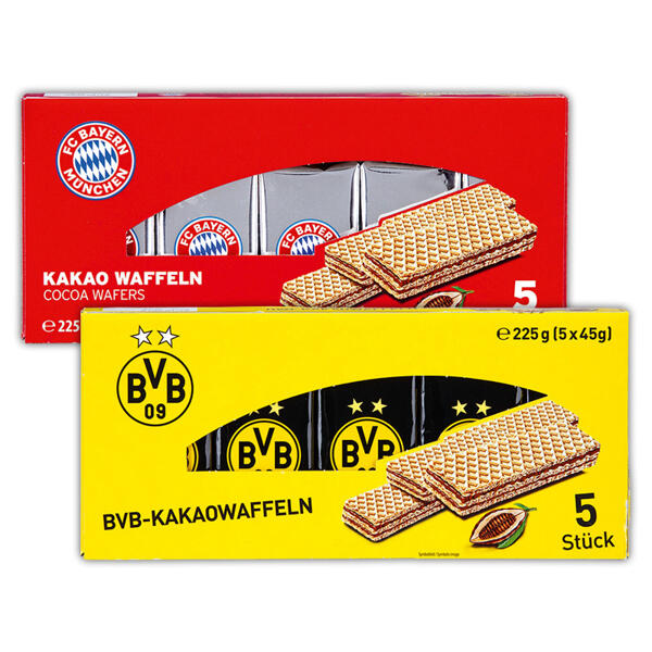 FCB / BVB Fan-Mix