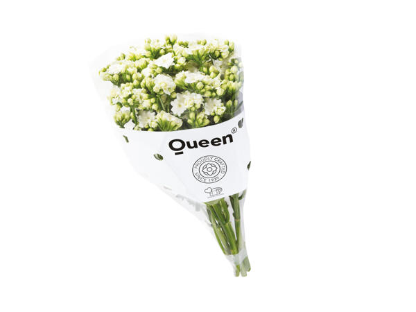 Kalanchoe buket