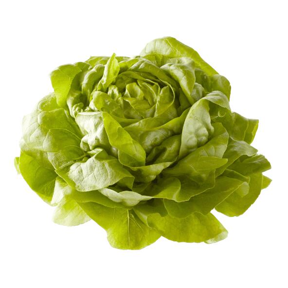 Kropsla