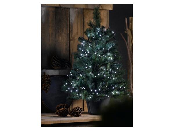 192 LED fairy lights