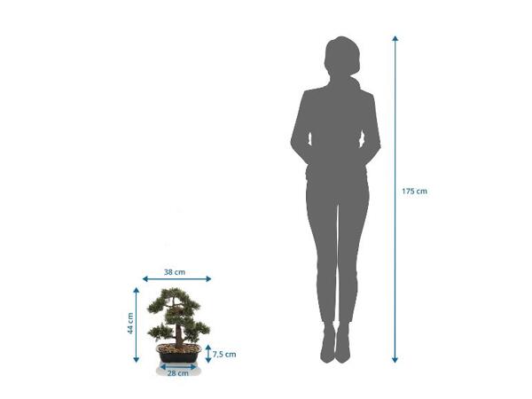 Umělý strom BONSAI, 44 cm