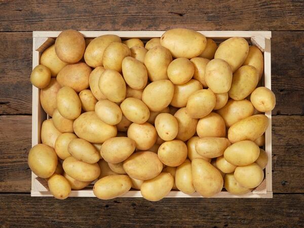 Pommes de terre nouvelles