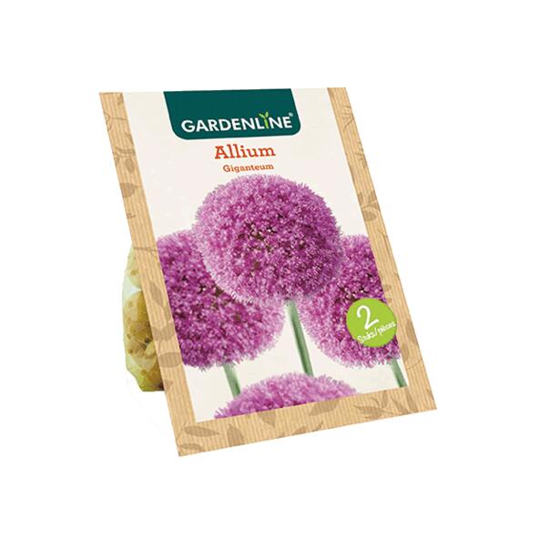 GARDENLINE(R) 				Blumenzwiebeln Zierlauch