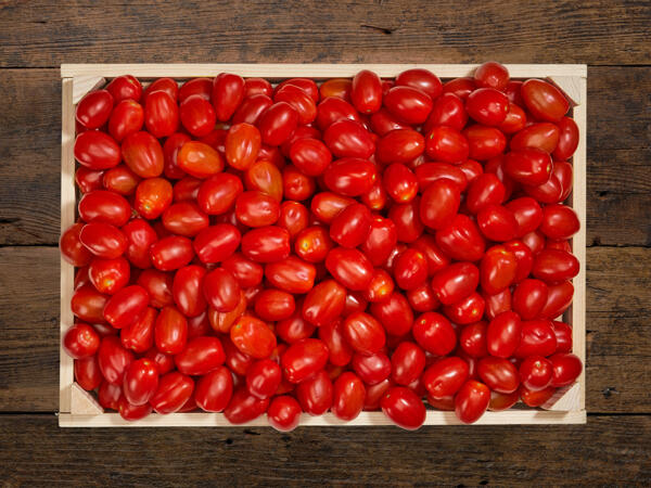 Tomates cœur de pigeon bio