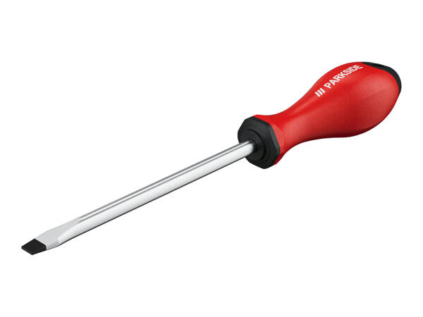 Parkside Screwdriver Set