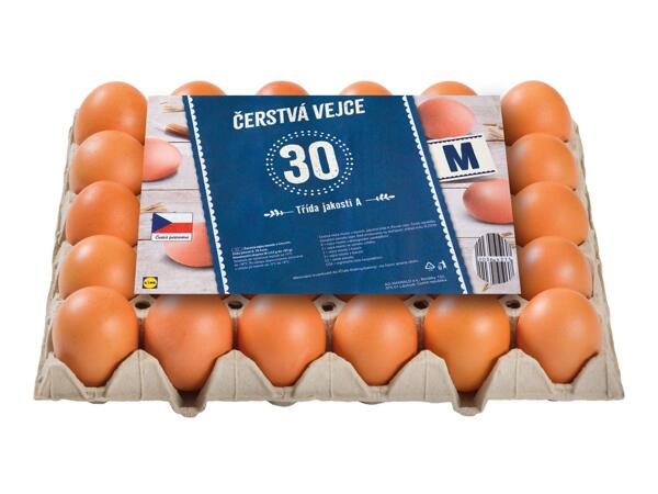 VEJCE "M"