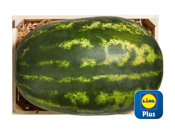 Pastèque XXL​