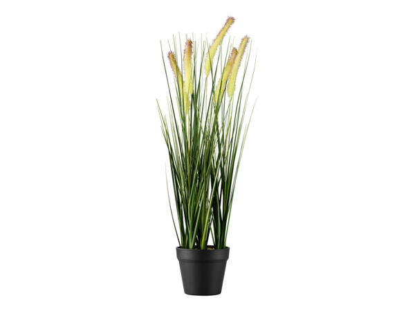 Umělá orchidej / okrasná tráva / hortenzie