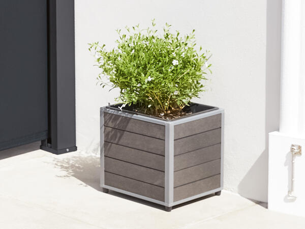 Jardinière