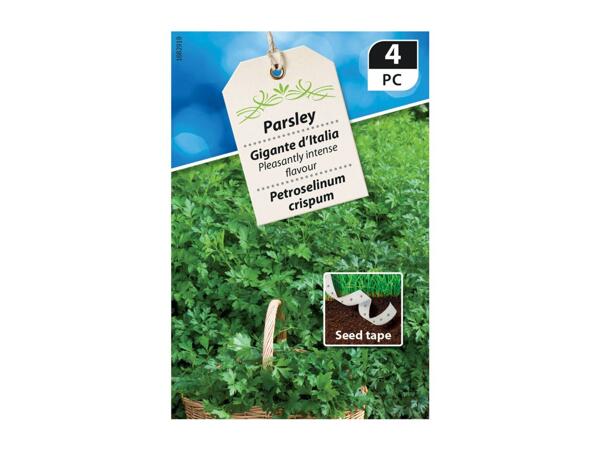 Parsley Premium Seeds Tape