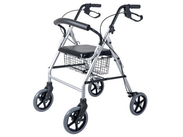 Walker with Wheels