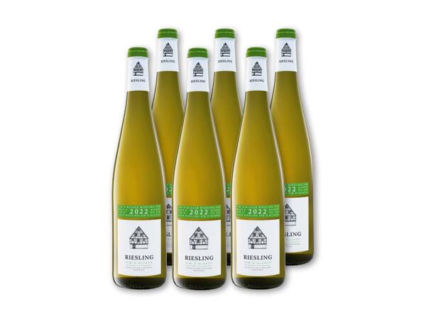 Riesling d‘Alsace