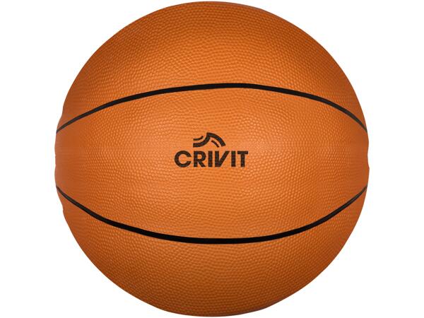 Ball Assortment